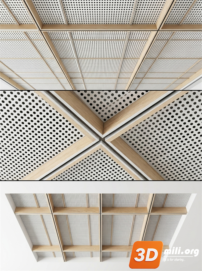 Ceiling Decoration Skp Files